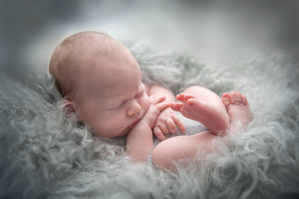 Susan Bradfield Photography