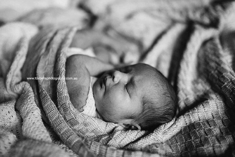 Foxbelle Photography