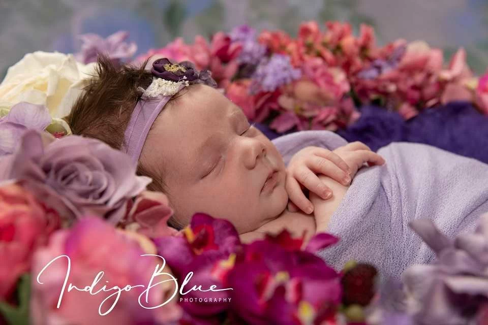 Indigo Blue Photography