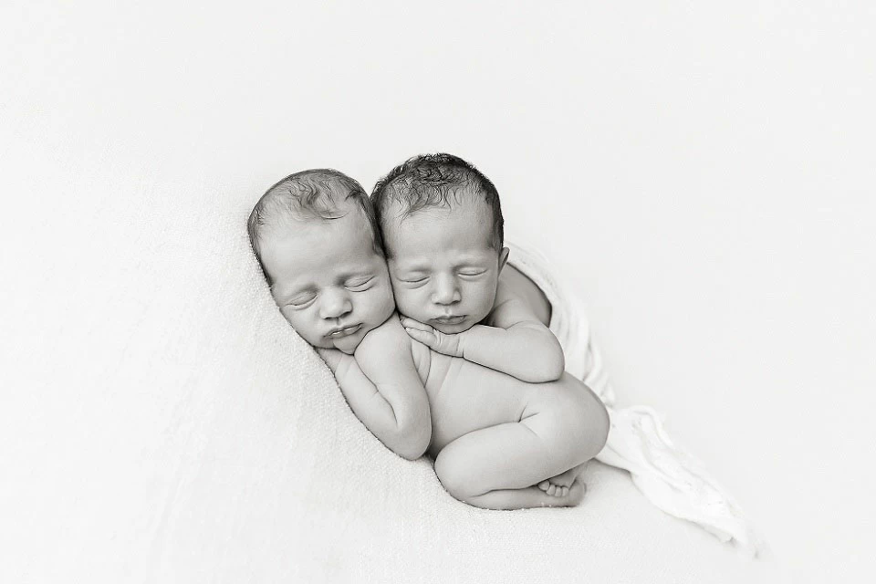 Little Lotus Photography