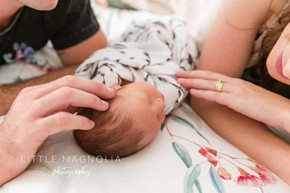 Little Magnolia Photography