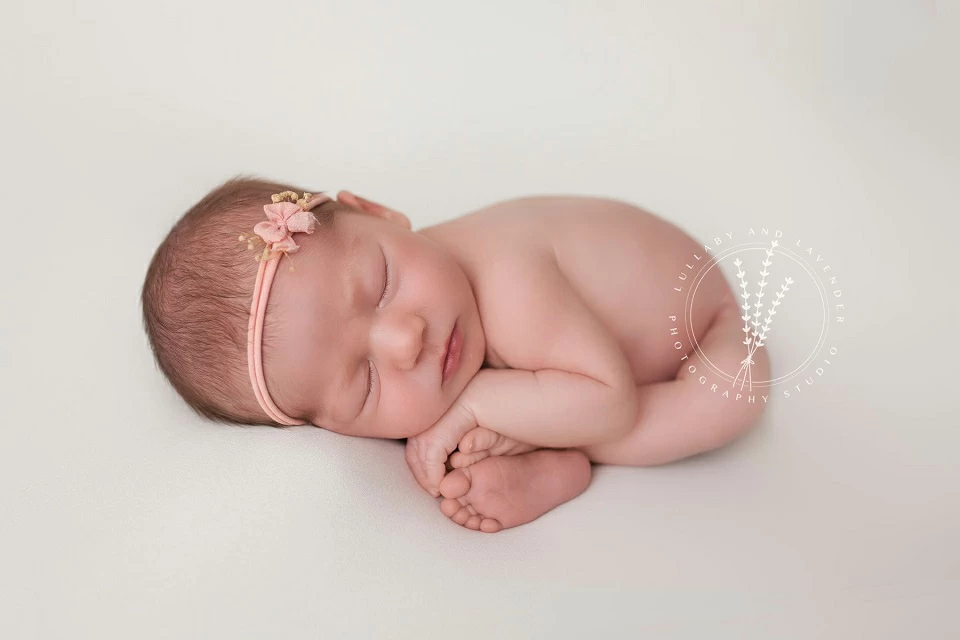 Lullaby & Lavender Photography Studio