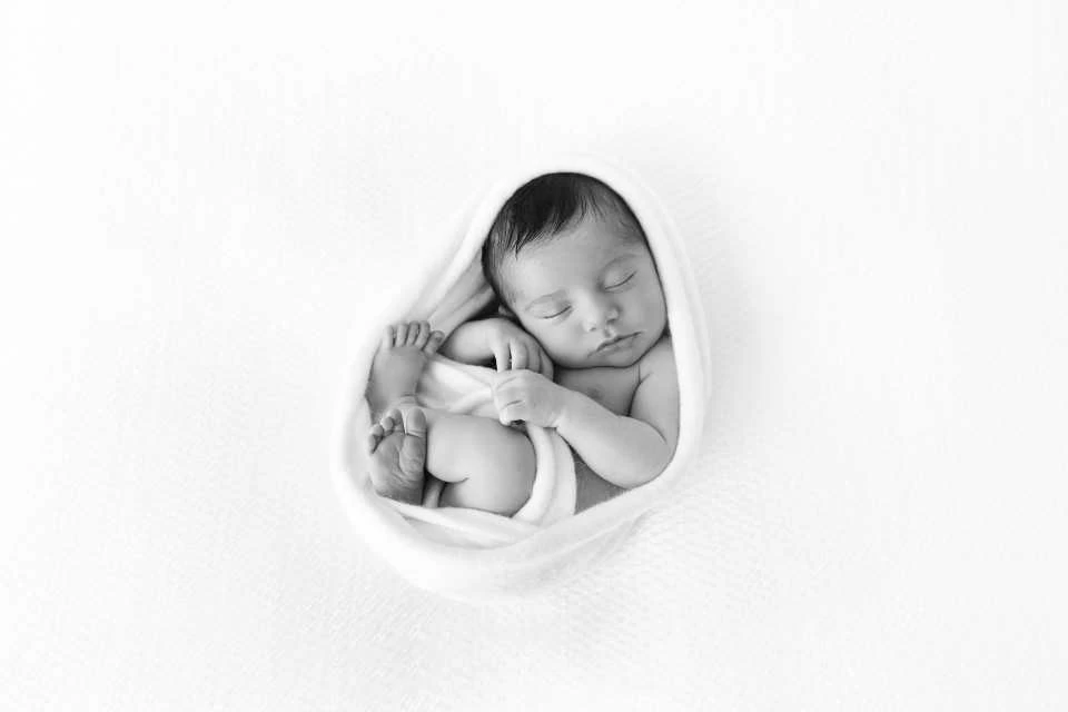 Niki Sprekos Photography