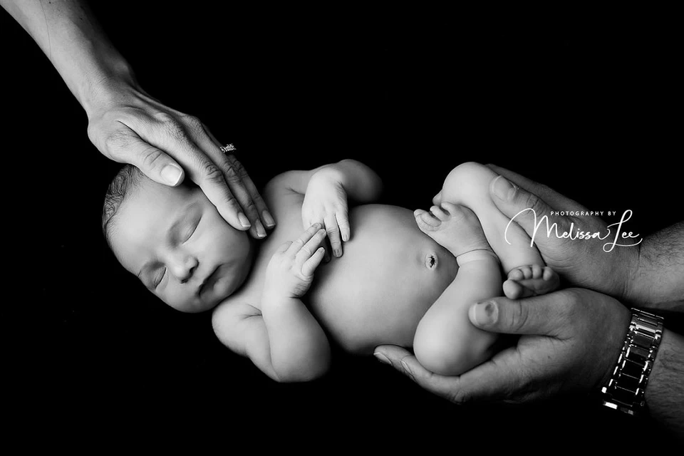 Photography By Melissa Lee