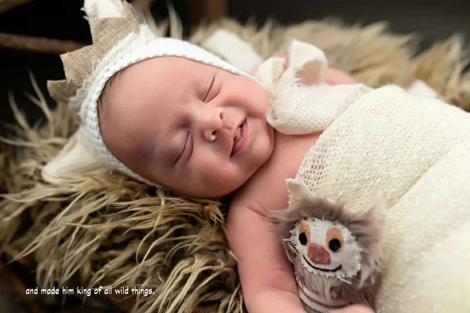 Stephanie Rodden Photography