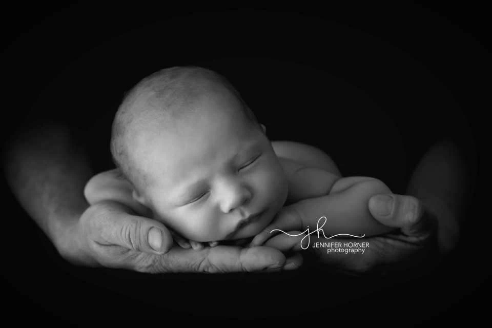 Jennifer Horner Photography