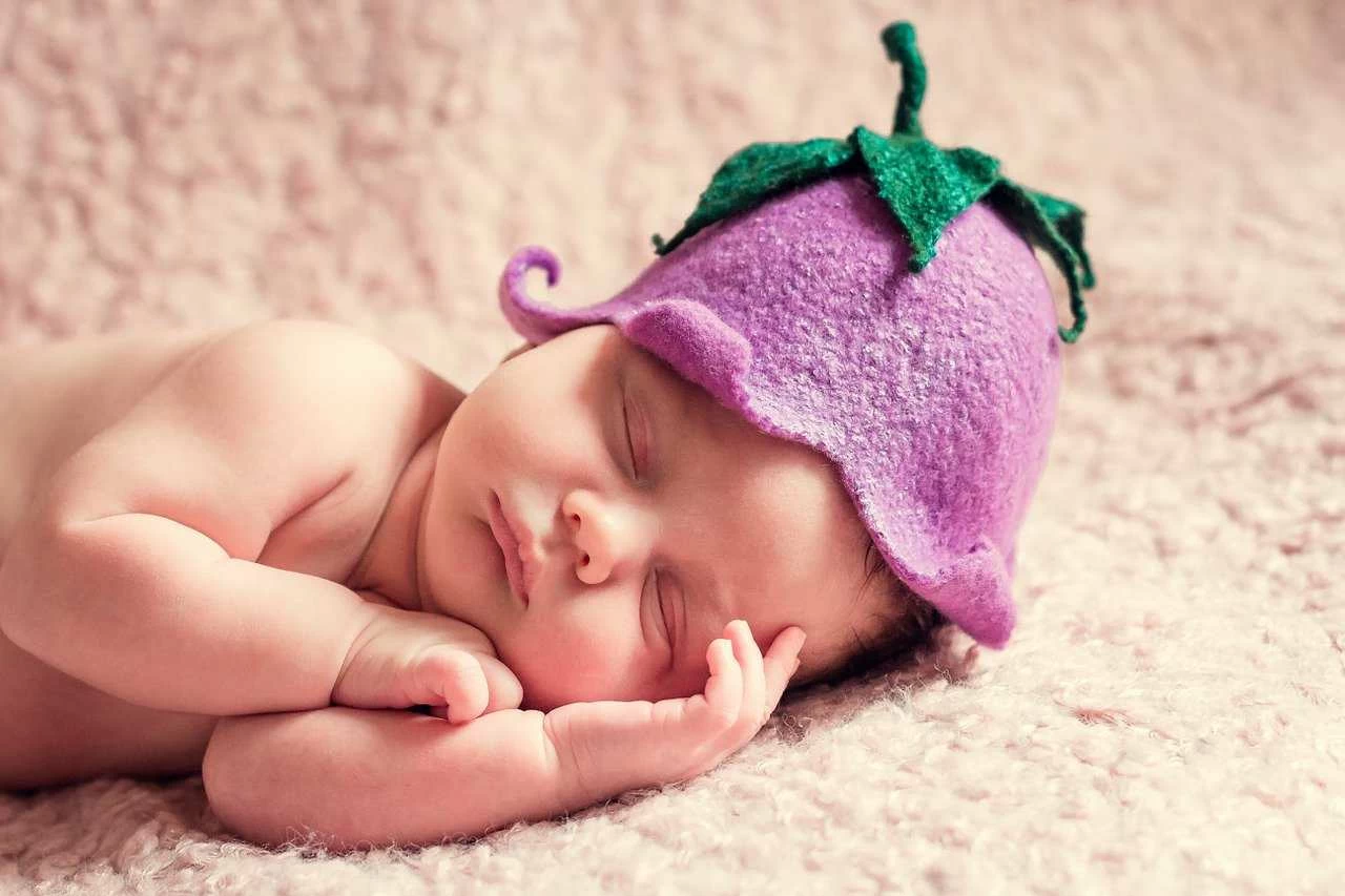 newborn photography adelaide newborn photography adelaide