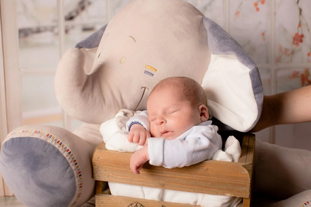 newborn photography geelong newborn photography geelong