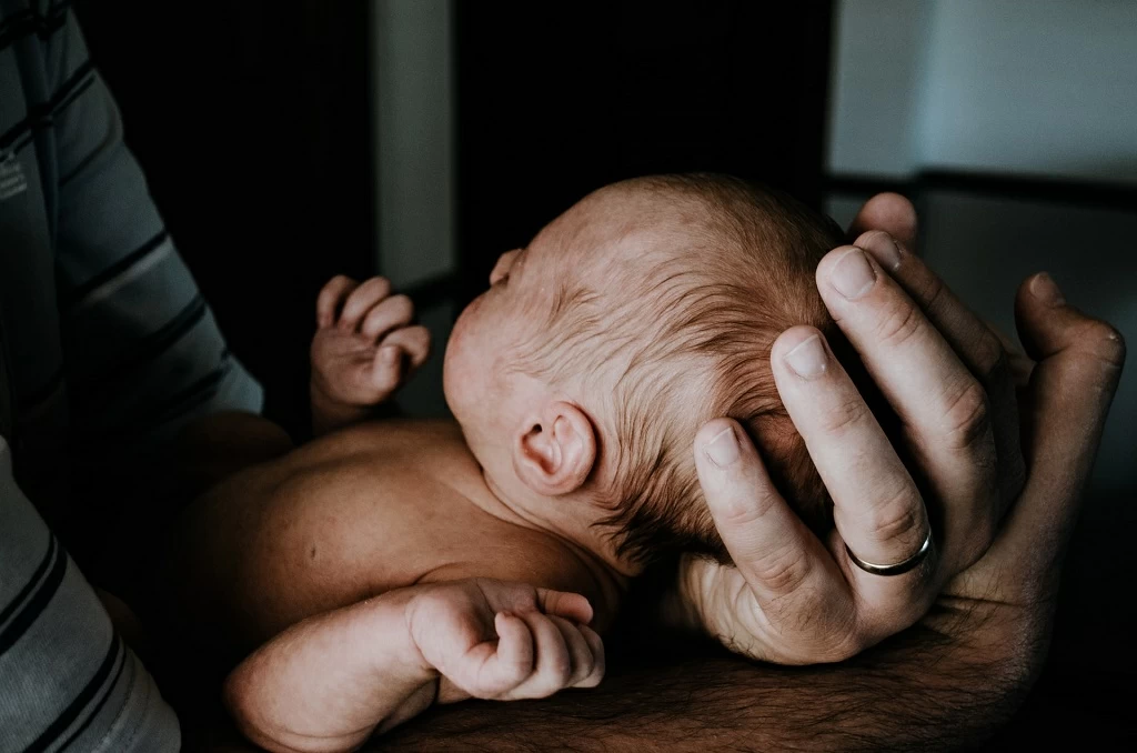newborn photography hobart newborn photography hobart