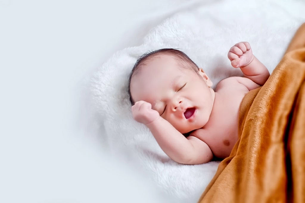 newborn photography mornington peninsula newborn photography mornington peninsula