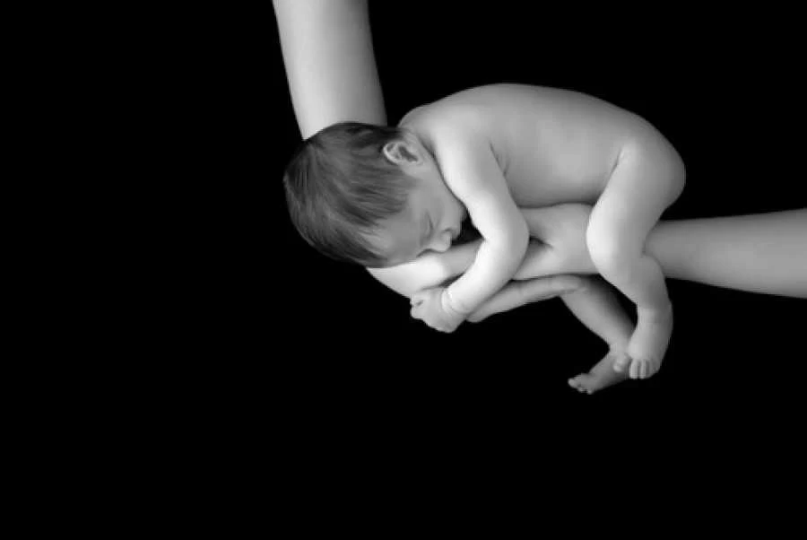 newborn photography sunshine coast newborn photography sunshine coast